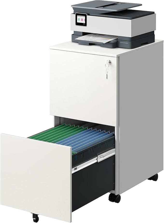 DEVAISE 2-Drawer Rolling File Cabinet with Lock, Metal Filing Cabinet for Home Office, Fully Assembled Under Desk, White, 17" D x 15" W x 27" H