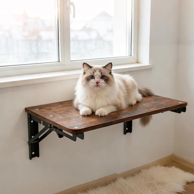 Wooden Folding Shelf Wall Mounted for Small Space, Wall Table for Living Room Bedroom Decor, Home Office Floating Fold Down Desk, Media Shelves with Heavy-Duty Brackets Holds Up to 30lbs, 21.6"*11.8"