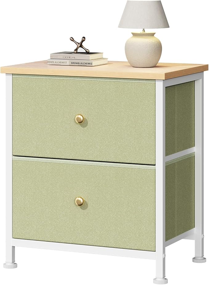 DUMOS Nightstand, Bedside Table for Bedroom, Small Dresser, 2 Fabric Drawer | Side/End Tables with Drawers, Storage Cabinet Furniture, 20 Inch Night Stand for Closet, Entryway, Light Green