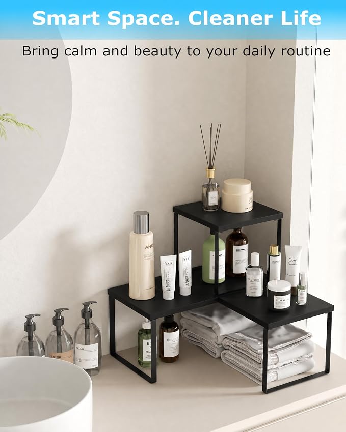 Aothia Desktop Shelf Organizer for Top of Desk, Modular 2-Tier Stackable Wood Storage Shelf, Modular Desk Organizer for Office, Home Workspace & Kitchen Counter, Black