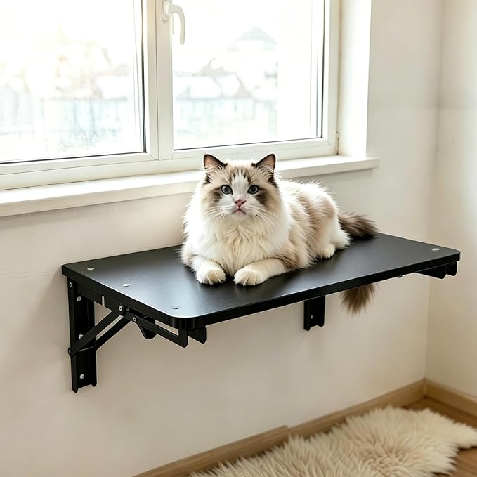 Wooden Folding Shelf Wall Mounted for Small Space, Wall Table for Living Room Bedroom Decor, Home Office Fold Down Desk, Media Shelves with Heavy-Duty Brackets Holds Up to 30lbs, 21.6"*11.8", Black