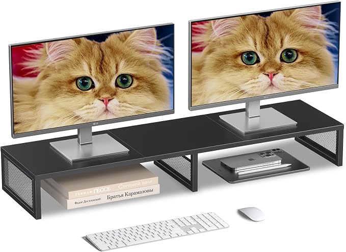 Dual Computer Monitor Stand Riser, Desk Organizers and Accessories, Printer & TV Stand, Desk Shelf, Office Desk Accessories & Desktop Workspace Organizer for Office Supplies, Black