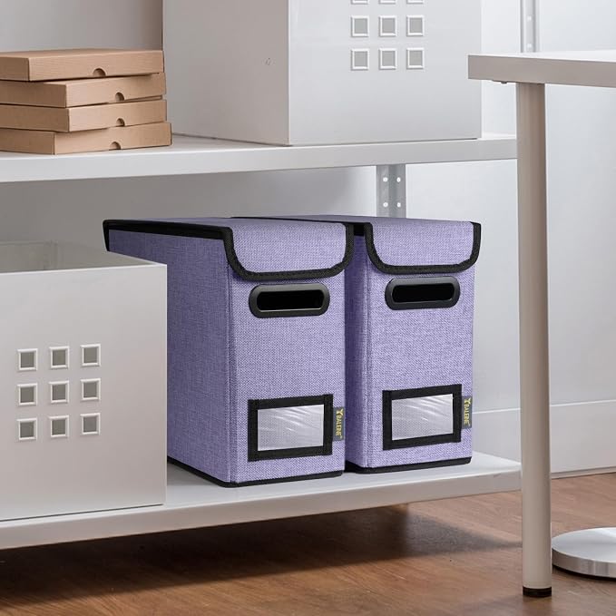 BALEINE File Organizer Box with Lid, Collapsible File Folder Organizer with Plastic Slide, Hanging File Folder Box for Office Document Storage (1 Pack, Purple, S)