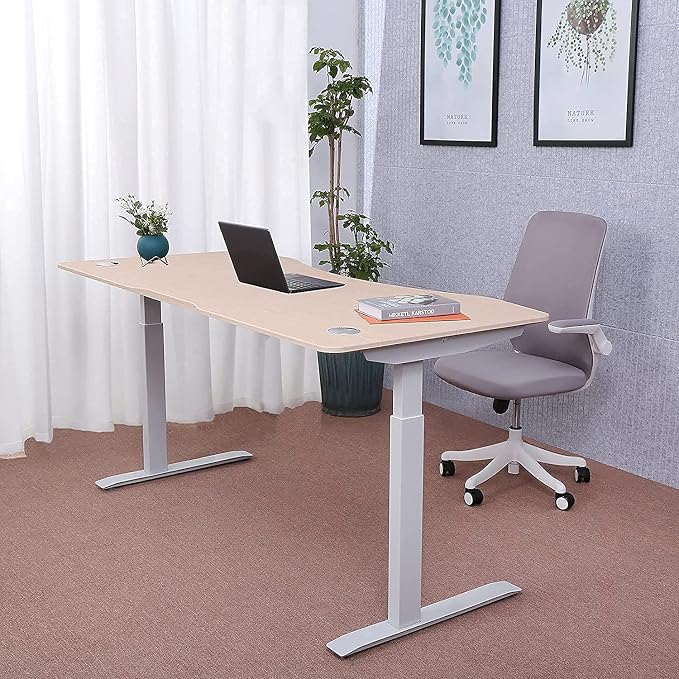 ApexDesk Elite Series 60" W Electric Height Adjustable Standing Desk with Matching Color Compact Reception Side Desk (Light Oak Elite & Side Desk)
